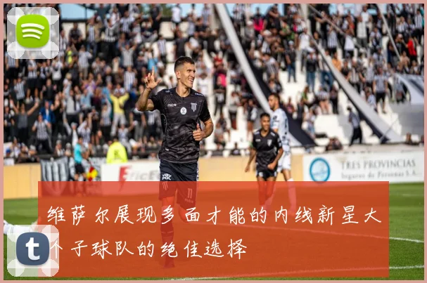 维萨尔展现多面才能的内线新星大个子球队的绝佳选择
