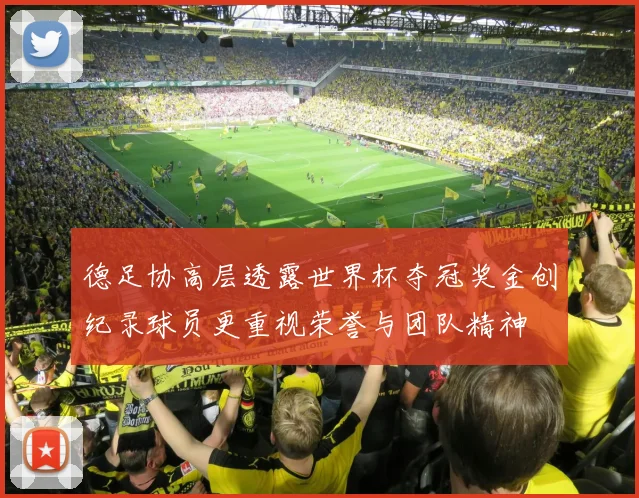 德足协高层透露世界杯夺冠奖金创纪录球员更重视荣誉与团队精神