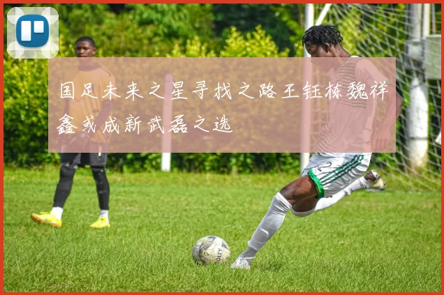 国足未来之星寻找之路王钰栋魏祥鑫或成新武磊之选